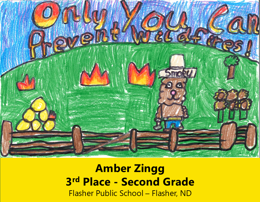 Drawing of Smokey Bear in a fenced field with small fires. 