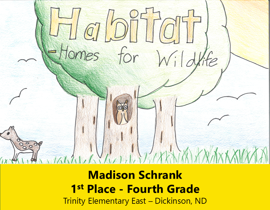 Drawing of three trees with a owl in the hole of the center tree and small animal on the left. 