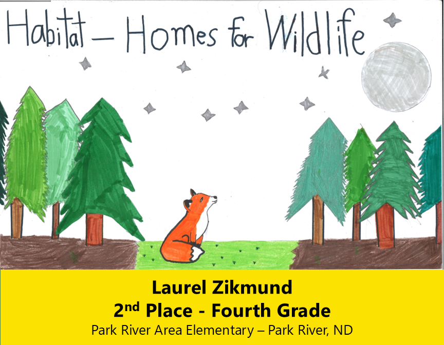 Drawing of a fox looking at a moon in a pine forest under the stars. 