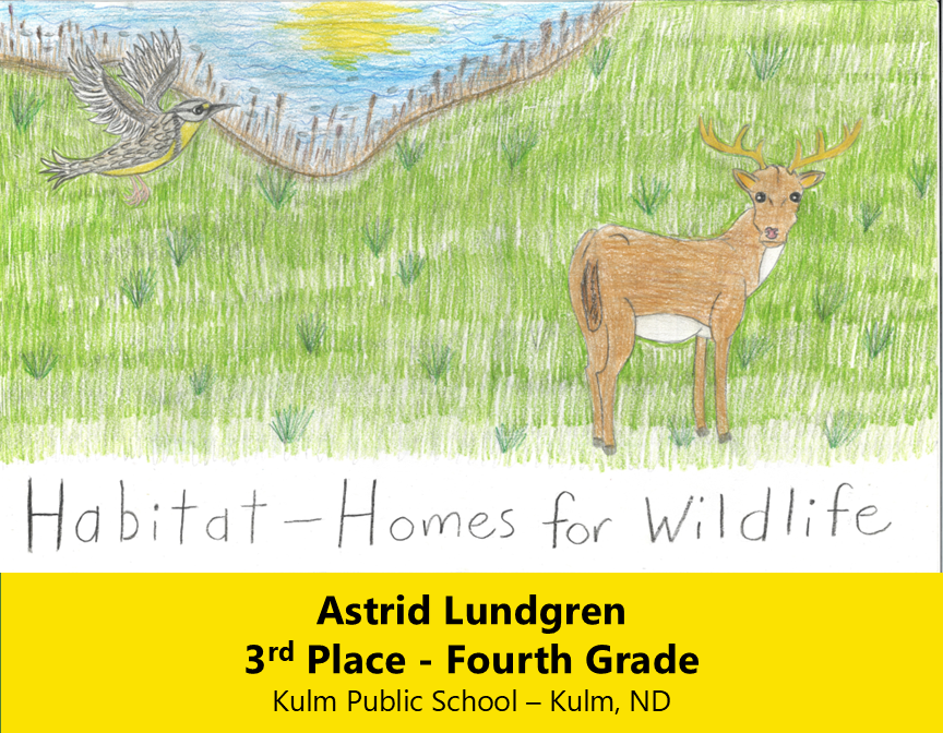 Drawing of a deer standing and a Western Meadowlark flying across a prairie background. 
